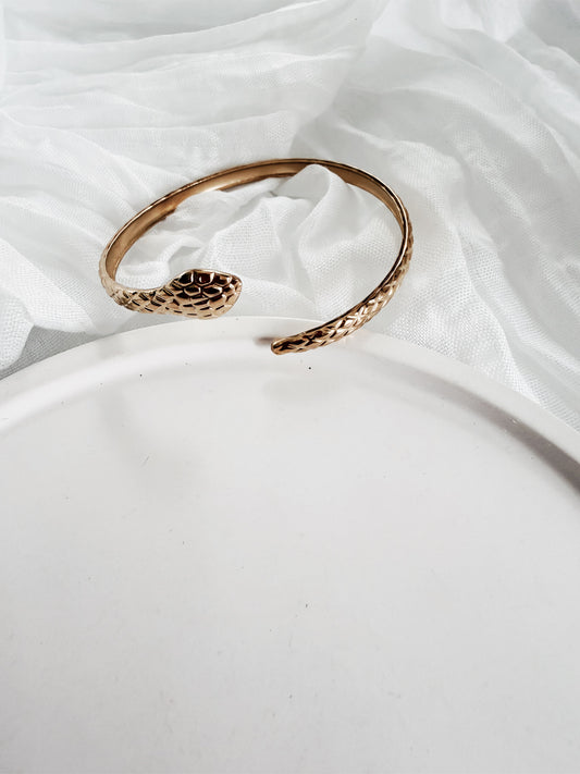 Bracelet Snake